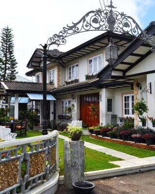 Cocoon Hills