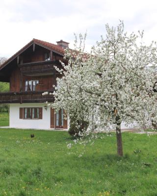 Mayerbauer