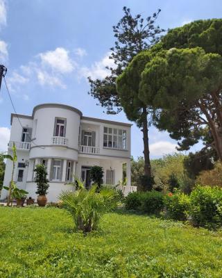 Tower traditional pool villa