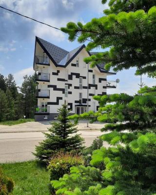 Studio Tara Divčibare