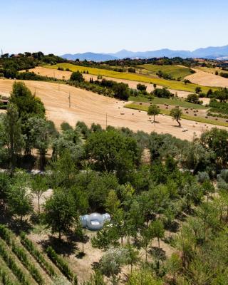 La Bolla del Borgo. Le Marche tra le stelle.