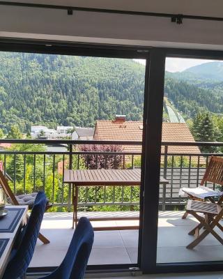 Apartament Marmurowy w Szczyrku z widokiem na góry z dostępem do sauny i jacuzzi w weekendy, dwa miejsca parkingowe