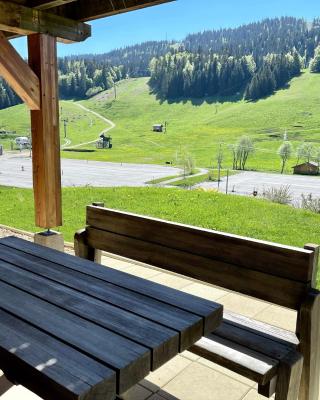 Gîte avec terrasse et belle vue - ChaletNelda com