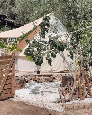 Farm Glamping tent on Acquaviva Bay