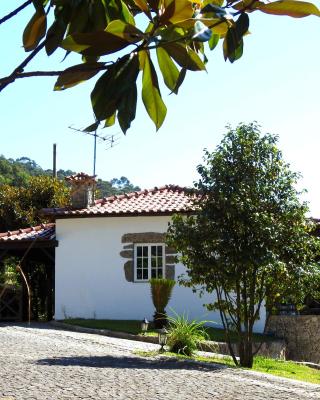 Quinta de S. Vicente 317