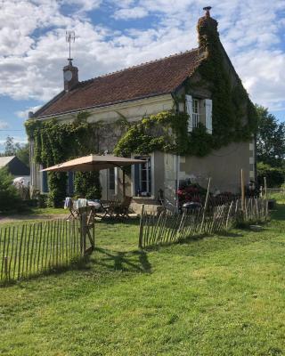 Au Coeur des Vignes