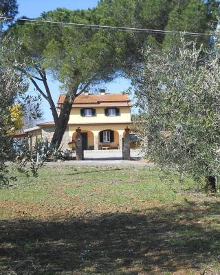 Agriturismo Poggio Sassineri