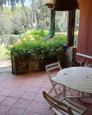 Casa sul Mare - Punta Ala