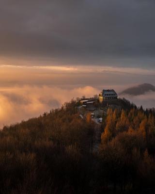 Hochwaldbaude