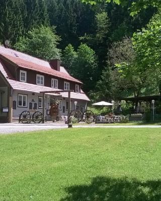 Waldpension Harzer Waldwinkel