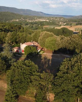 Les Néfliers chambre d'hôtes