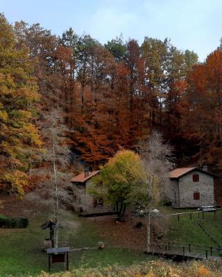 Agriturismo il canale