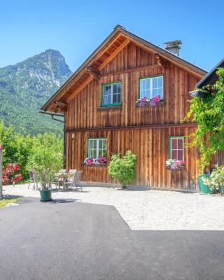 Lovely house with mountain view & big garden in Bad Aussee