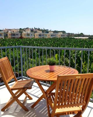 Blue Seaview Appartments