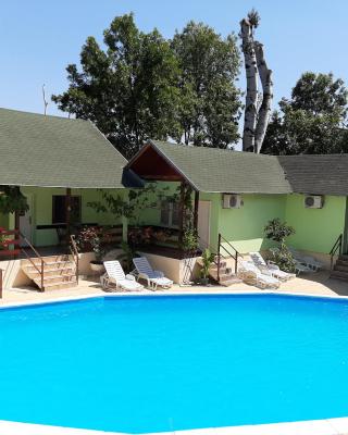 Pool and Villa Splav Dunavac