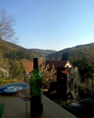 FeWo PacoHaus nähe Willingen Diemelsee