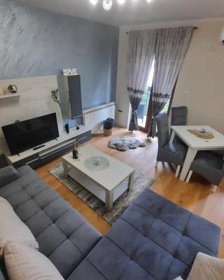 Apartman Korićanac Vrnjačka Banja