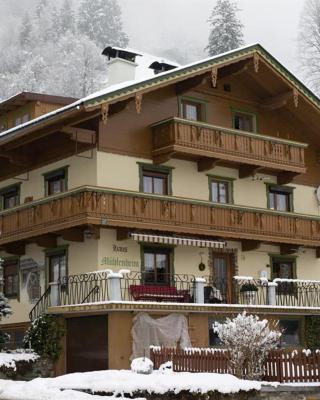 Haus Mühlenheim