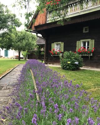 Bauernhaus Südsteiermark - Weststeiermark, Weinstraße, Radfahren, E-Bike, Feiern mit Familien & FreundInnen
