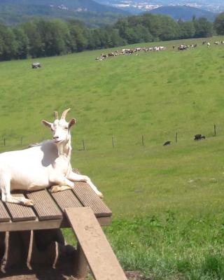 Au Doubs Repos