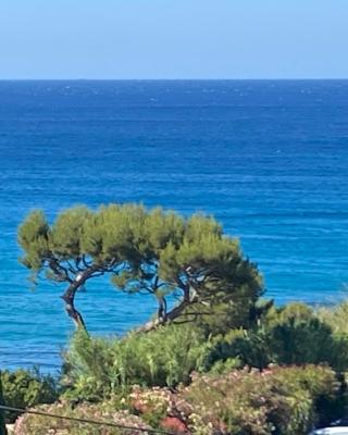 Face à la mer, Cassis et son Cap Canaille