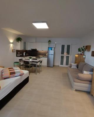 Apartmán Lipno s výhledem na jezero