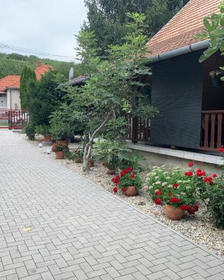 Bástya apartman