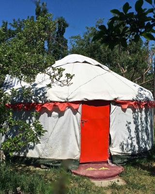 Arista Yurt Camp