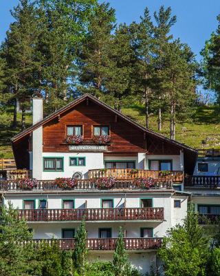 Alpenappartements Schwalbennestl
