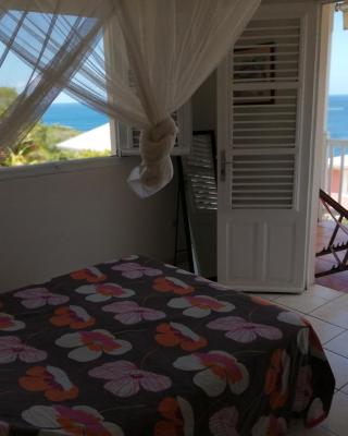 Rose phoenix appartement terrasse et piscine vue mer