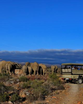 Sanbona Wildlife Reserve