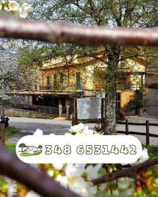 Agriturismo Aria Fina