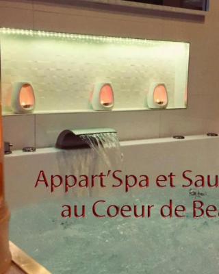 Appart' Spa et Sauna Privatif Au Cœur De Beaune