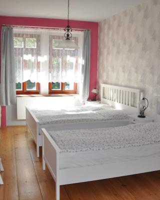 Apartmán u Václava v centru města