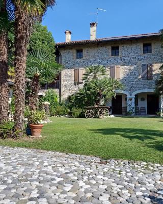 Rovere dalla riva