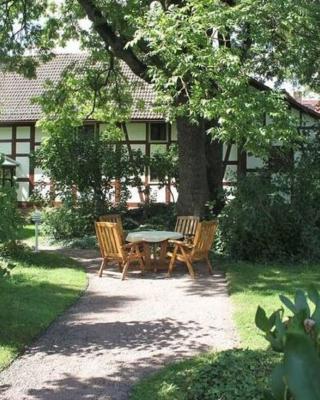 Apartment in Tabarz Thuringia near the forest