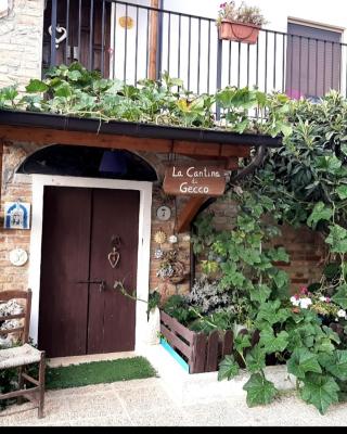 B&B La Casa in Campagna