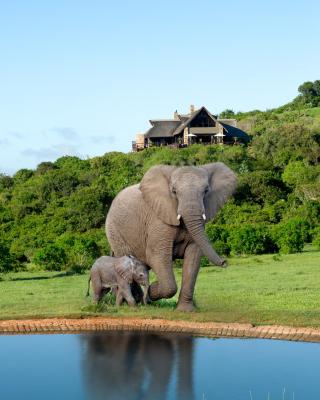 Hopewell Private Game Reserve