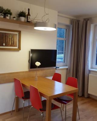 Rokytka apartmán 217