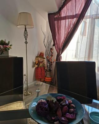 Apartament Fluturaș de Stâncă Comarnic