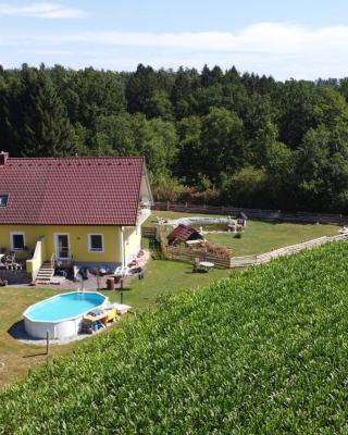 HAUS SONBERG mit Garten, Pool, Fasssauna, semi detached house with garden