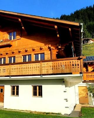 Chalet bois soleil