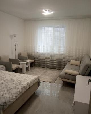 Modern fresh-new appartment near the park Sofievka