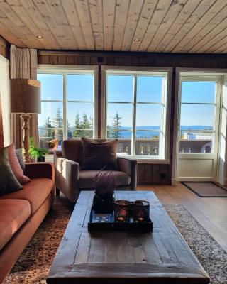 New cabin at Lifjell perfectly located for hiking with sauna and ski-in/ski-out