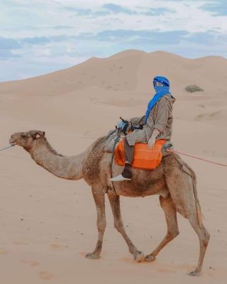 Desert Camel Trek