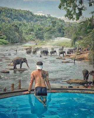 Hotel Elephant Bay