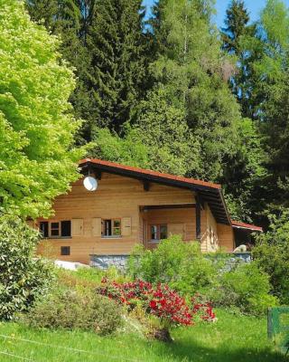 Log House in Rinchnach with Panoramic Views