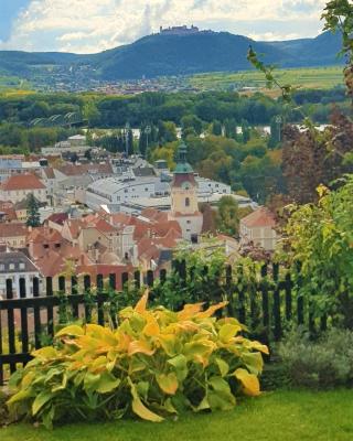 Blick über Krems mit Gartenpavillon