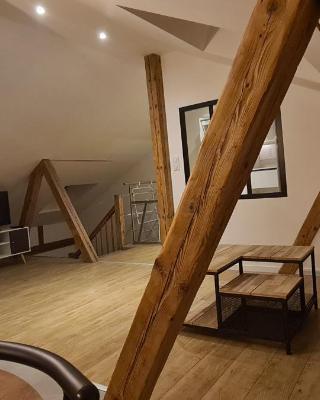 Wood loft by Mulhouse