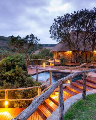 Lalibela Game Reserve Mark's Camp